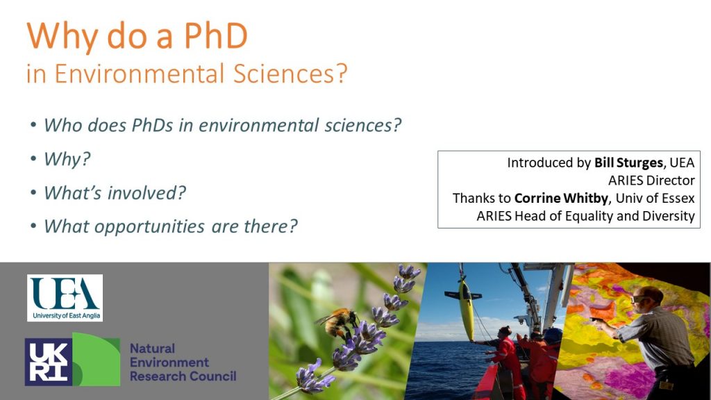 Uea dissertation examples picture